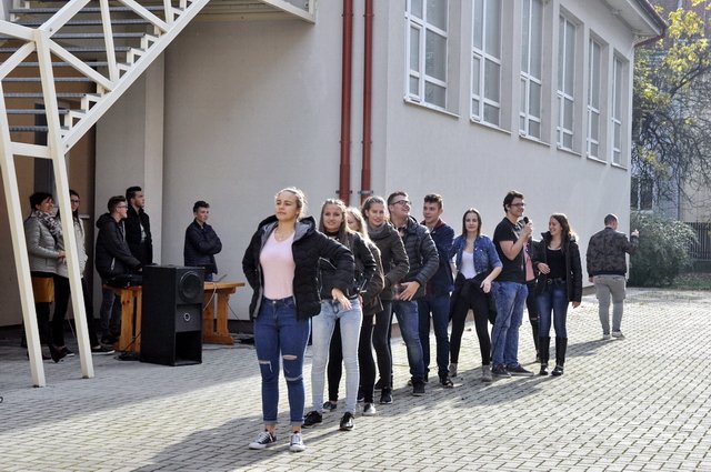 csibetábor az aranyban 33